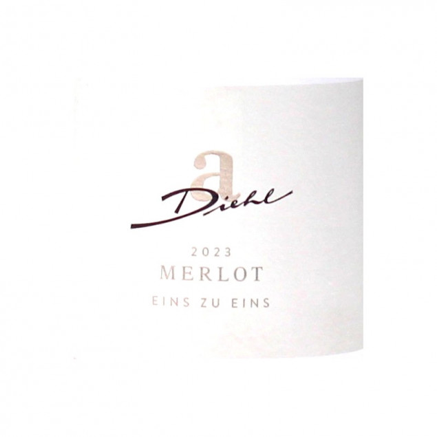 Weingut Diehl Merlot Rosé eins zu eins feinherb 2022 0,75 L 12,5 % vol